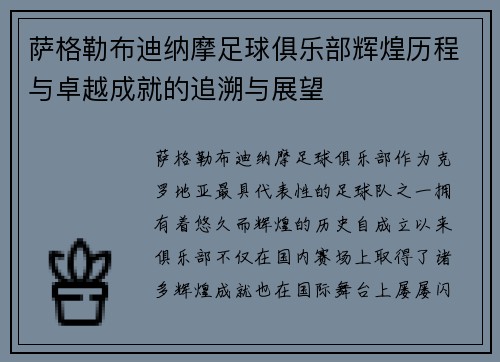 萨格勒布迪纳摩足球俱乐部辉煌历程与卓越成就的追溯与展望