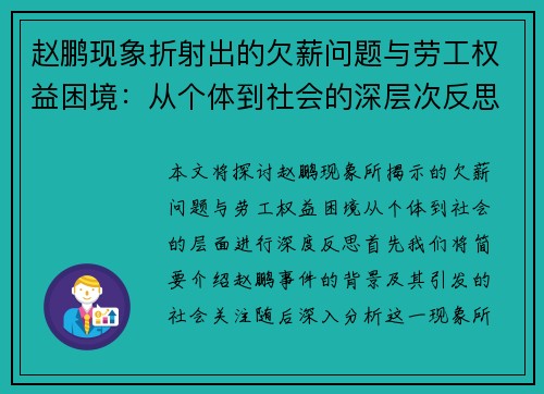 赵鹏现象折射出的欠薪问题与劳工权益困境：从个体到社会的深层次反思
