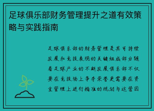 足球俱乐部财务管理提升之道有效策略与实践指南 足球俱乐部财务管理提升之道有效策略与实践指南